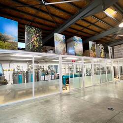 Olive Oil production facilities