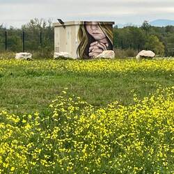 Out in the countryside