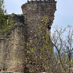 Ruins of the castle