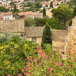 View back down to Chateauneuf-du-Papes as we make our way to the castle