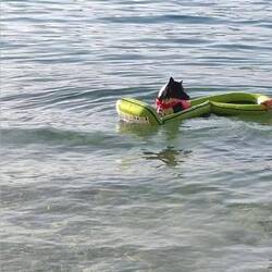 Mit der Luma am Meer😊