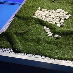 Das ist das Hundeklo