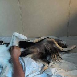 Kelani Verwöhnprogramm