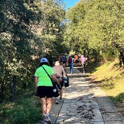 Walk up to the Abbey