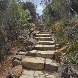 One of the many 'ups' of the hike . . .