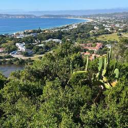 Blick auf Plettenberg Bay