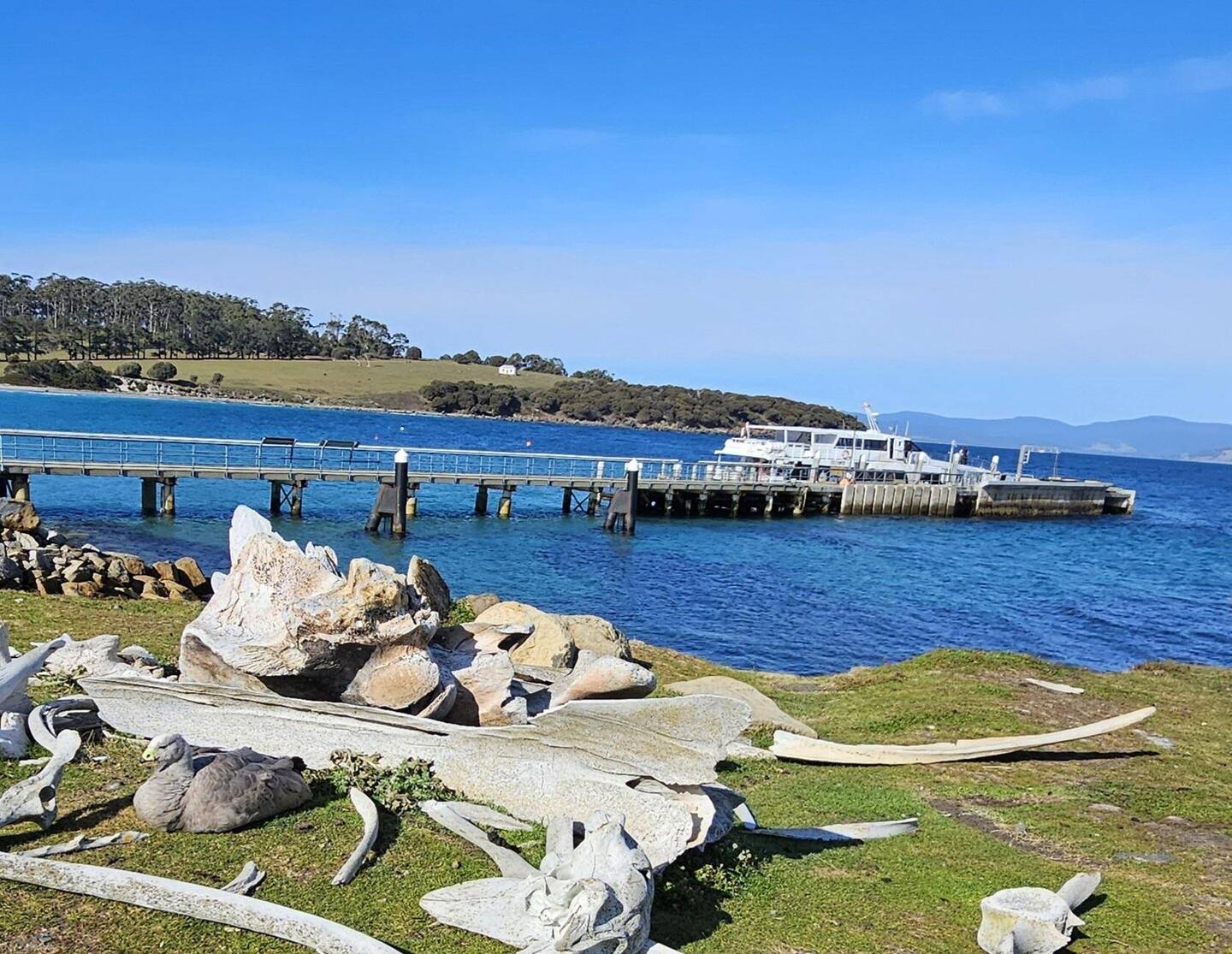 Maria Island Ferry Terminal