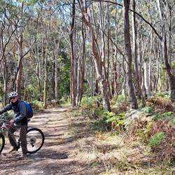 Part of our bike tour took us into the woods -- just beautiful!