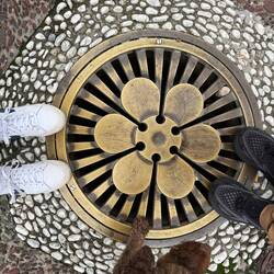 Paws on manhole covers