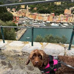 Why are you yelling at me?