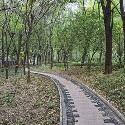 Park in unserer ehemaligen Wohnanlage