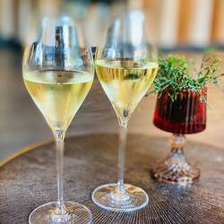 Begrüssungs-Prosecco