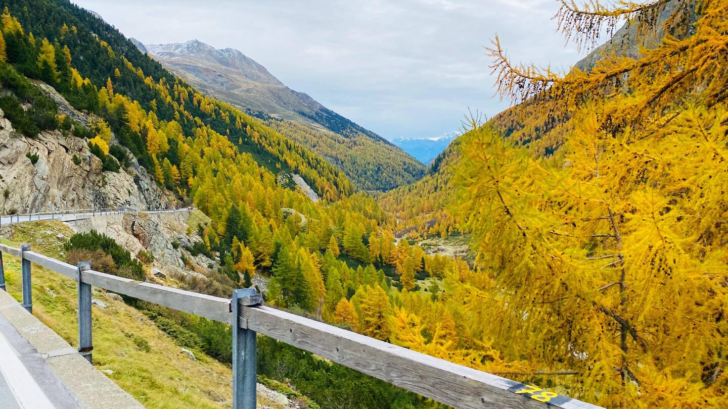 Wie liebt Yvonne den Herbst