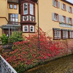 Restaurant "Heimat im badischen Hof"