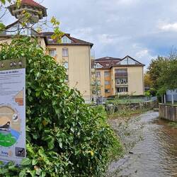 Das Flüsschen heißt Bühlot, links oben ein Schwalbenhaus.