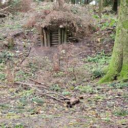 Schutzhütte mitten im Wald