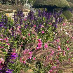 An amazing display for October (photo does not do justice)