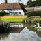 Village pond dramas: the Ukrainian crocodile is munching on President Putin