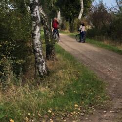 Das waren zwei Engel die mir den Weg wiesen in Körpern von Pilzsuchern