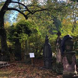 Der Friedhof der Hospitalkirche in Lößnitz - ganz verwunschen