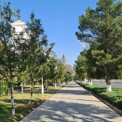 Very peaceful streets and immaculately clean