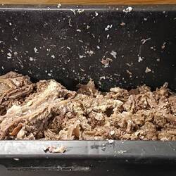 Das restliche Fleisch