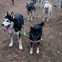 Nach dem Training 🇫🇮🫶🍀