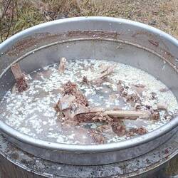 Der "Hundekochtopf" ,also für ihr Futter