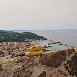 Die lagen da so rum. 😳 Voll Banane.