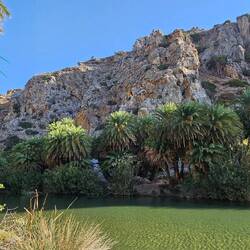Palmen begrenzen das Flussufer