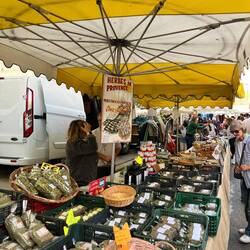 Provence herbs