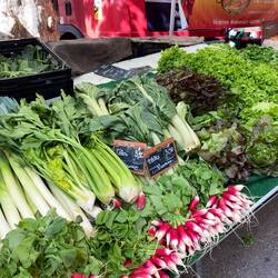 Everything was so fresh