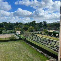 View from Vincent's room