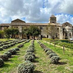 Rear of the garden looking back to the main building
