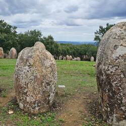 Cromeleque dos Almendres