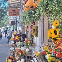 Herbstliches Noe Valley