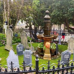 Auch ein bisschen politisch