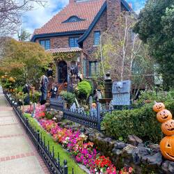 Da hat es jemand mit Halloween Deko ernst genommen