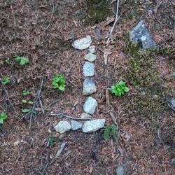 Noch 1 Meile bis zum Terminus!