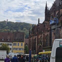 Black Forest behind the town