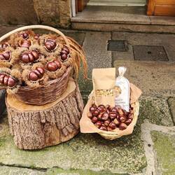 Chestnuts! 🌰 🌰 🌰