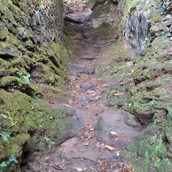 Bit of a dodgy descent near the end of today's walk.