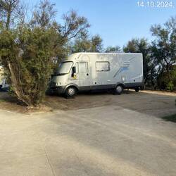 Unser " Teddy 🧸 " er hat mir erzählt dass er gerne hierbleiben will . Nix da Winterschlaf is angesag