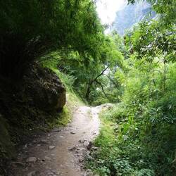 So grün haben wir uns den Himalaya gar nicht vorgestellt.