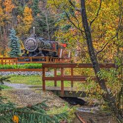 Fall colors