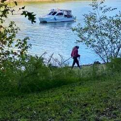 Pup walk. He wants to sniff all the carp carcasses on the shoreline. There's several