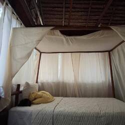 Mückennetze ums Bett