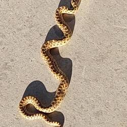 Ohhh Schreck - das war sie 🙈