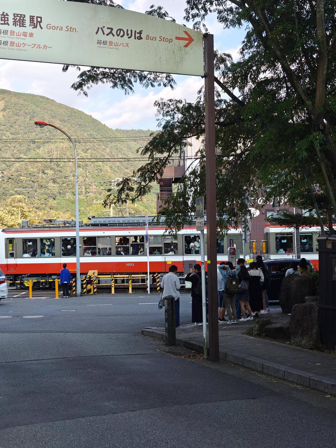 Gut gefüllter Zug.