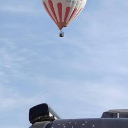 Snoopy und Woodstock sind auch fasziniert